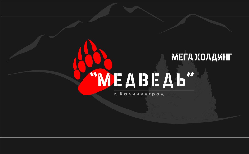 мега холдинг медведь